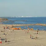 Cemaste * Montpellier