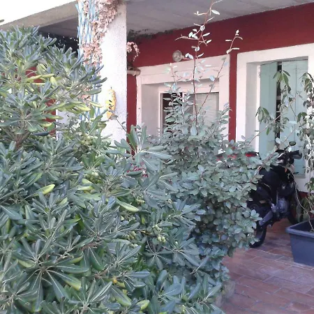 Cemaste Guest house *