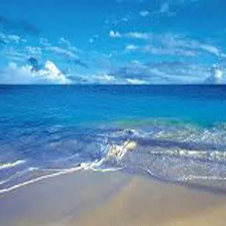 Cemaste Pensión Montpellier