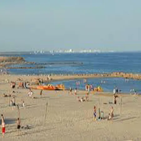 Cemaste * Montpellier