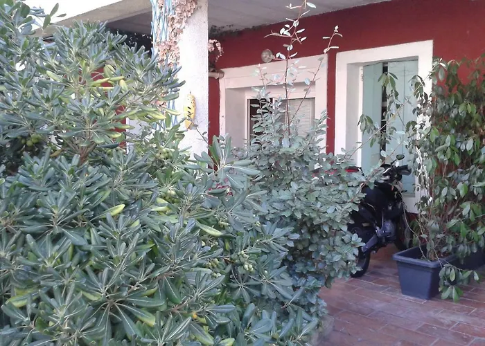 Cemaste بيت ضيافة *