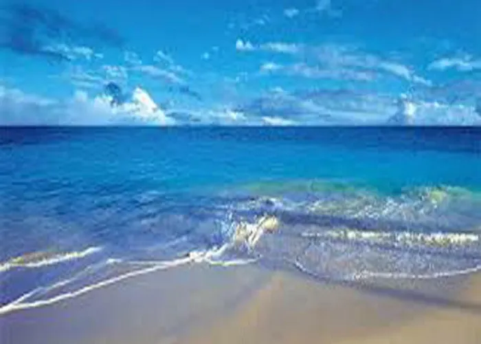 Cemaste بيت ضيافة مونبيلييه