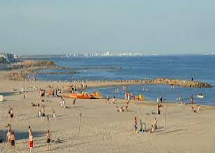 Cemaste * مونبيلييه